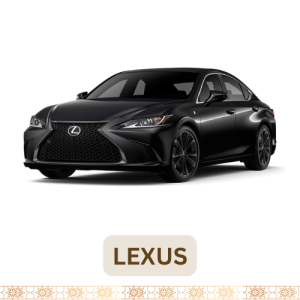 LEXUS (1)